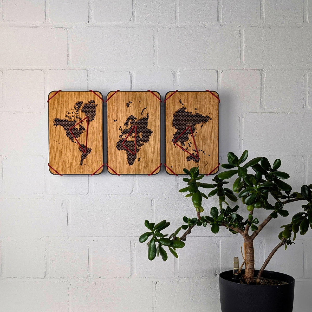 Weltkarte-Set aus drei Erinnerungsboxen an der Wand neben einer Zimmerpflanze